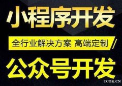 20年经验购物电商多商务运营行业门户平台等APP小程序开发