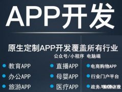 龙华APP及移动端小程序H5网站开发设计 软件开发